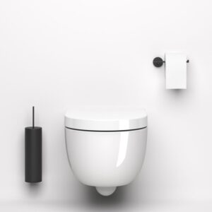 Western Toilet Repair (wall Mounted)