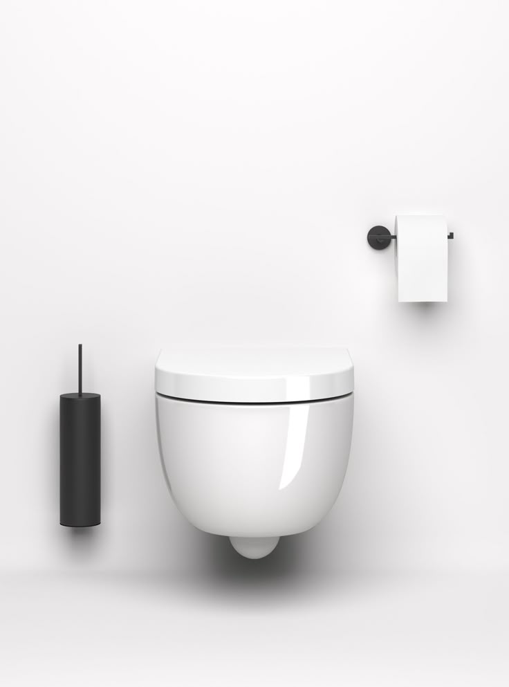 Services Western Toilet Repair (Wall Mounted)