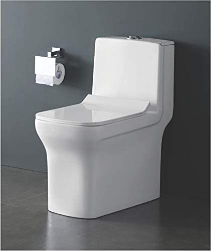 Services Western Toilet Repair (Floor Mounted)