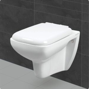 western toilet (wall mounted)